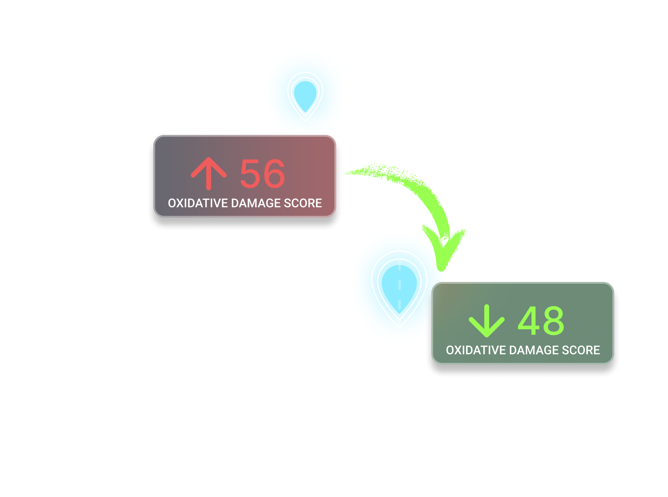 Oxidative Stress Markers