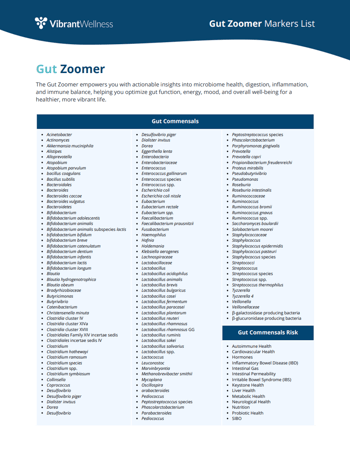 Gut-Zoomer-Markers-List-Thumbnail-Preview