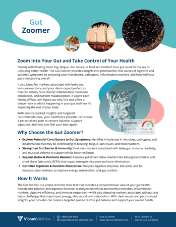 Gut-Zoomer-One-Pager-Thumbnail-Preview